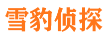 丹寨找人公司